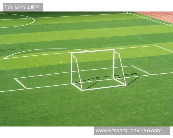 逍遥乘天下足球畅游绿茵场尽享激情与梦想的完美结合